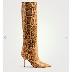 Paris texas python boots